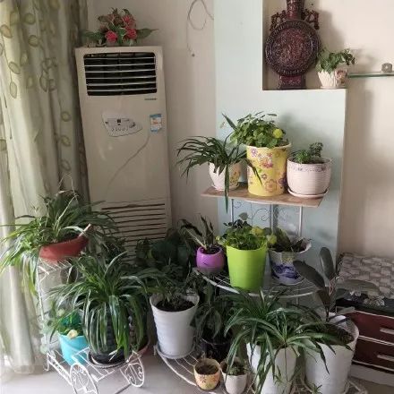 过年回家看到爸妈装修的新房，我想离家出走了……