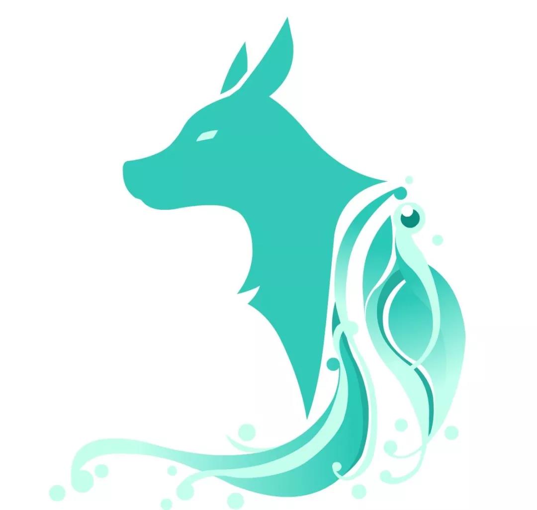 十二生肖狗的人生运势,十二生肖狗近期运势