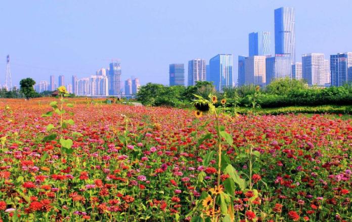 福州校园婚纱照,福州拍摄婚纱照景点
