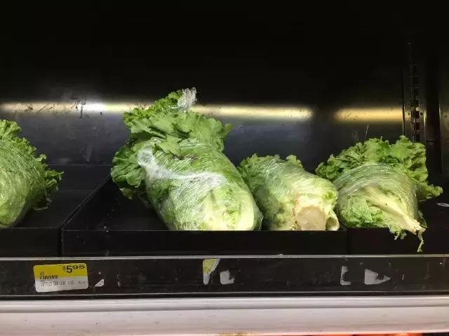 帕劳旅游攻略旅游视频,帕劳旅游攻略2018