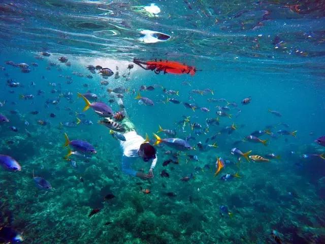 帕劳旅游攻略旅游视频,帕劳旅游攻略2018