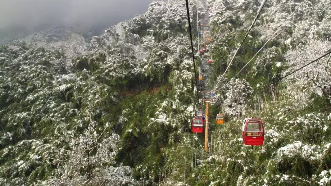 缙云啤酒鸭,缙云山醉鸡推荐