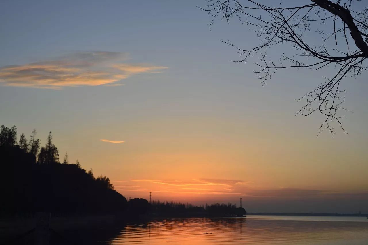 上海疫情全面爆发,大局已定开始扭转乾坤