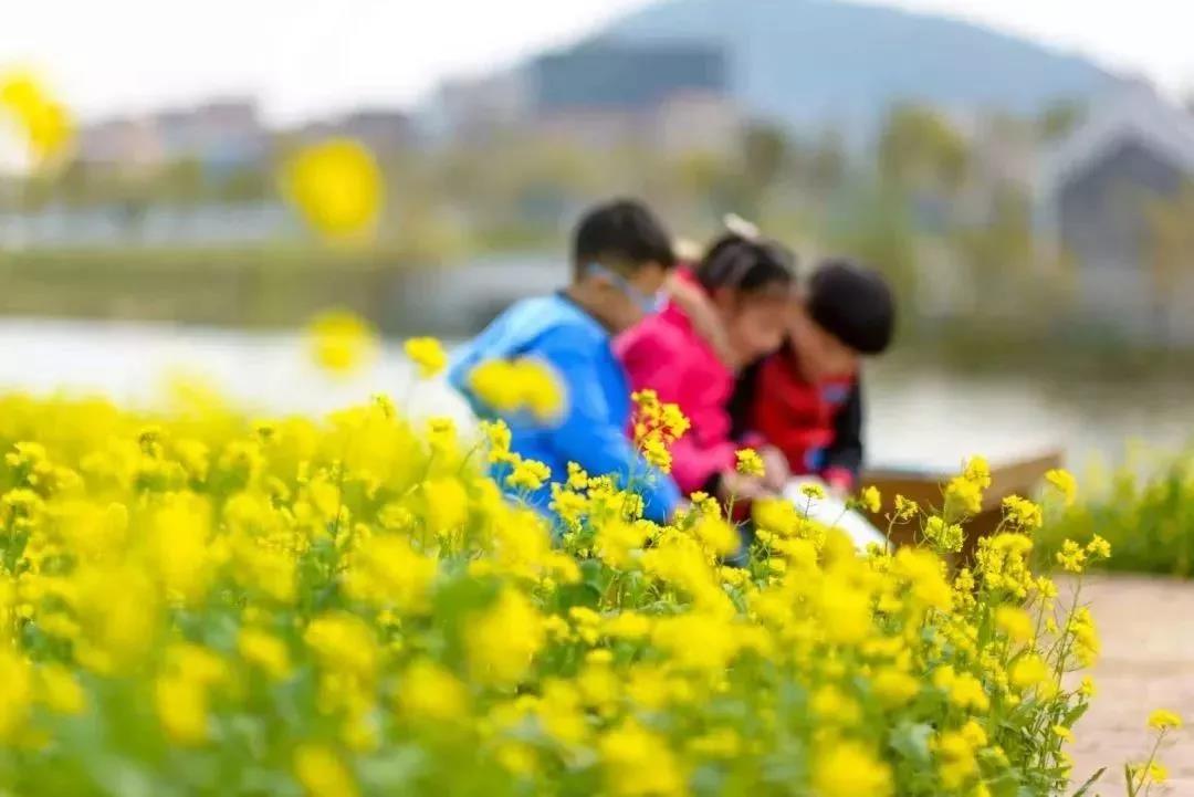 滚蛋吧,春困君!广东这些花花世界让你秒变龙马精神!