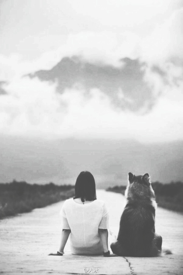 你觉得它的命运该是怎样的——《小松狮》…