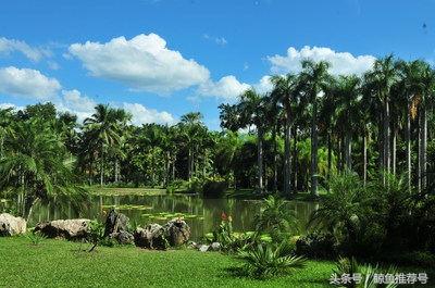 云南5a景区地图一览表,云南5a景区名单最新