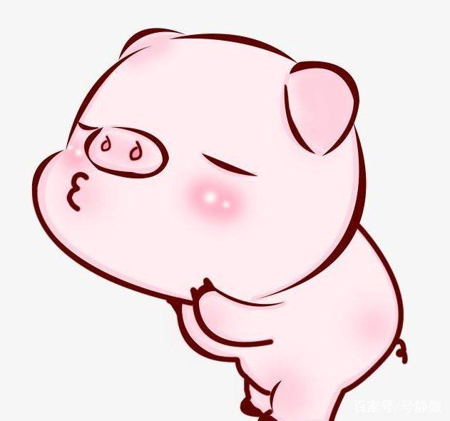 传统文化十二生肖视频,中华传统文化十二生肖图片