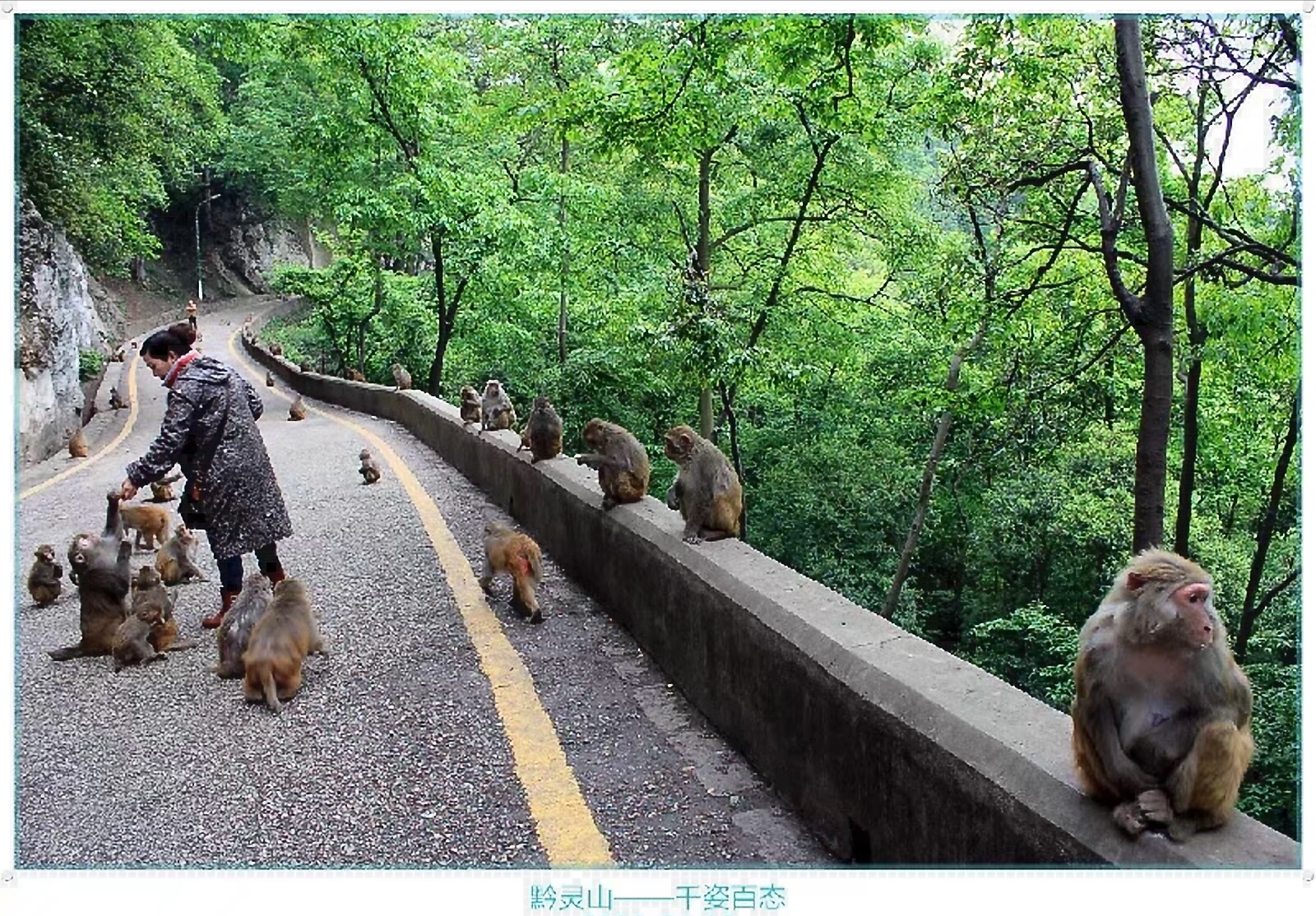 黔灵山地形图,黔灵山脉图片