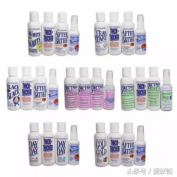 宠物洗护攻略,爱妖经养宠怎么玩