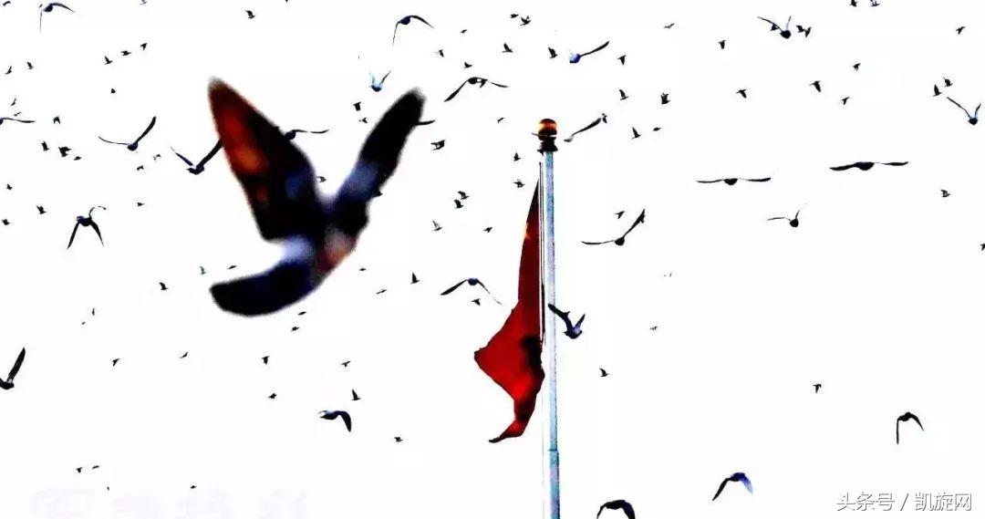 当兵十年一事无成,当兵十年什么都没有怎么办