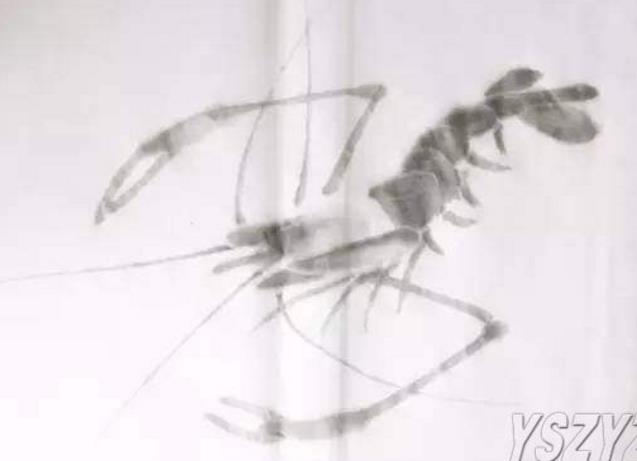 水墨大虾怎么画,水墨彩色大虾画