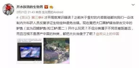 舌尖3酸菜,舌尖3椿树沟