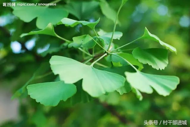 农村现在冷门又挣钱的项目,农村比较适合的赚钱项目