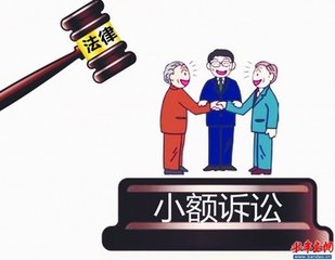 小额诉讼最新解决方案,小额诉讼胜算