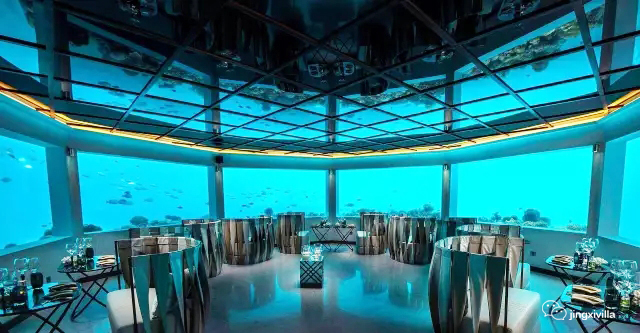 马尔代夫法式水上餐厅,马尔代夫海底餐厅视频