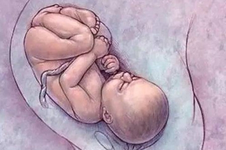 孕晚期各种产兆来袭，哪种情况是需要及时住院的呢？