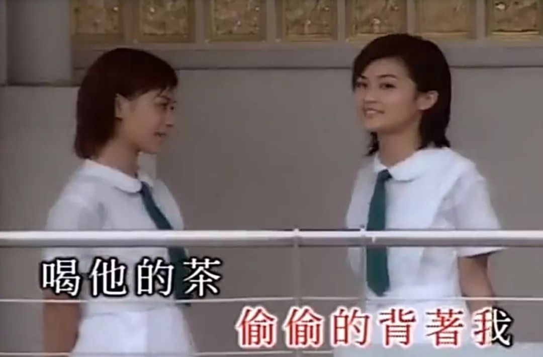 解散的二人女子组合,2017年解散的组合