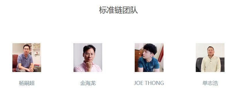 标准链,标准化体系构建