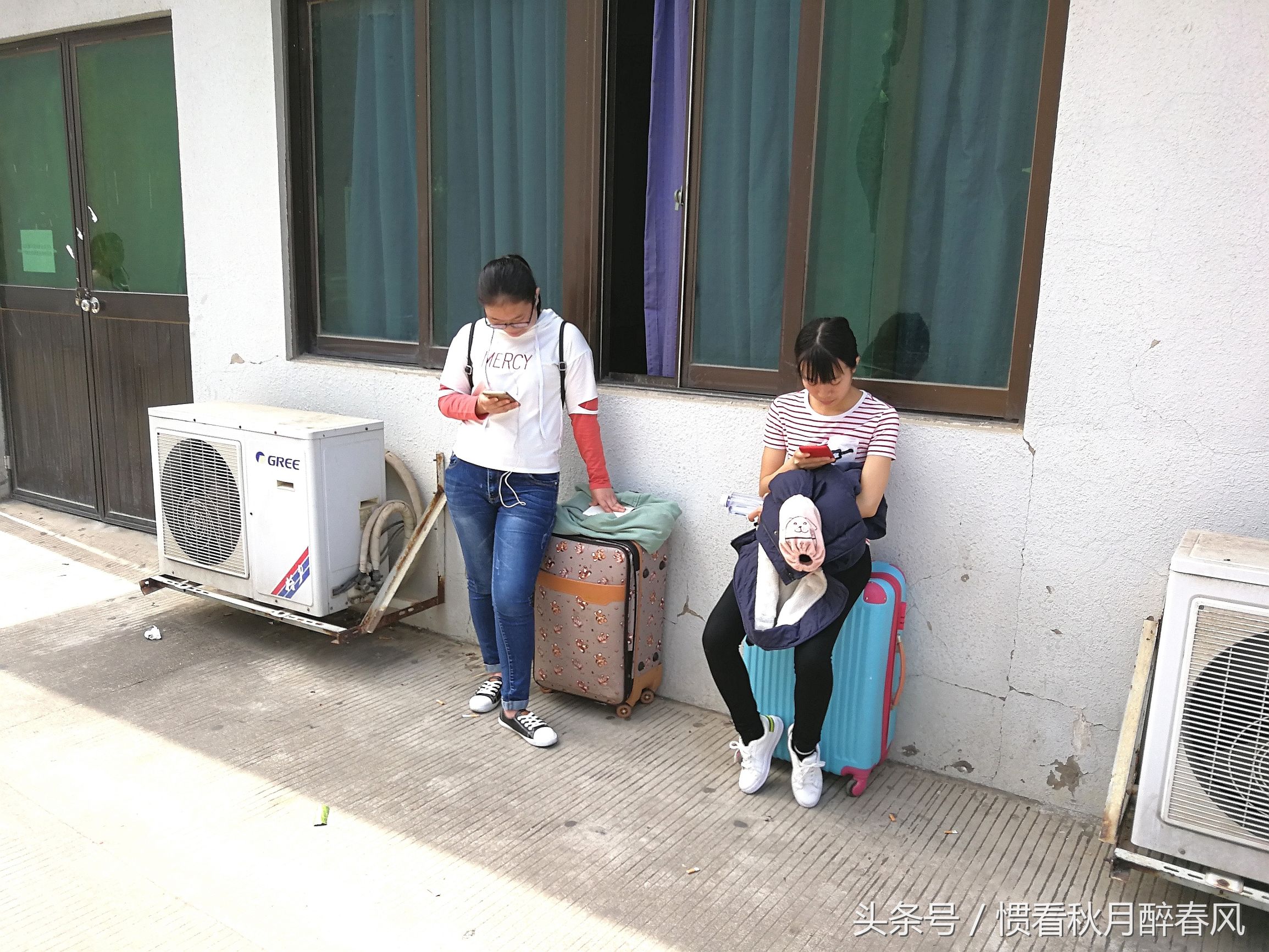 深圳市龙岗区宝龙比亚迪招工直播,宝龙比亚迪招聘排队