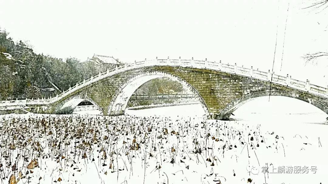 美丽麟游完整视频,雪景美如素描画