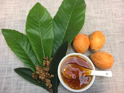 400元一盒的枇杷膏,川贝枇杷膏450一瓶