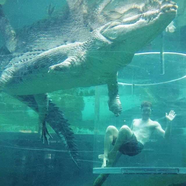 澳洲签证体检后多久签证可以获批,澳洲820签证转801签证需要多久