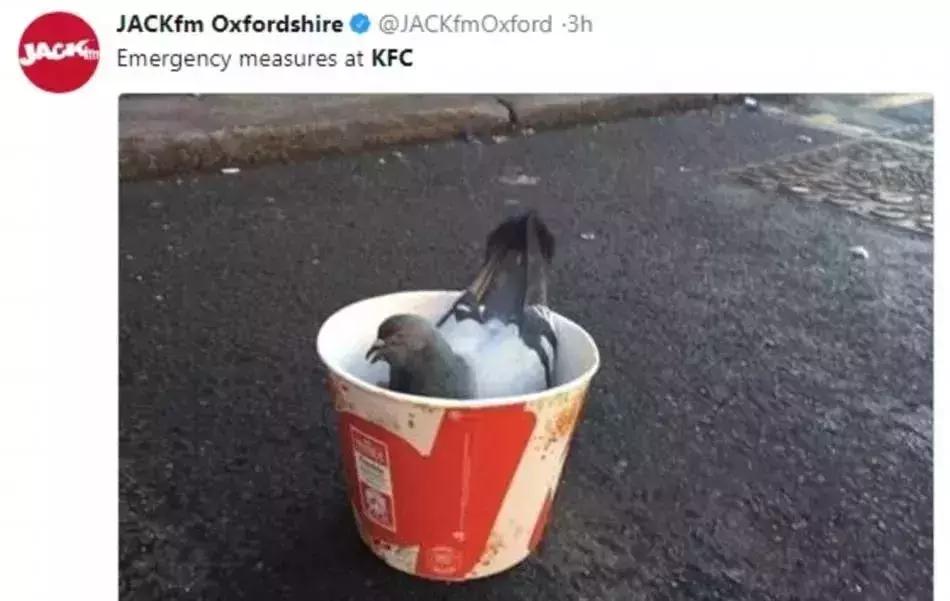 最近很多肯德基店关门的原因,肯德基多晚关门