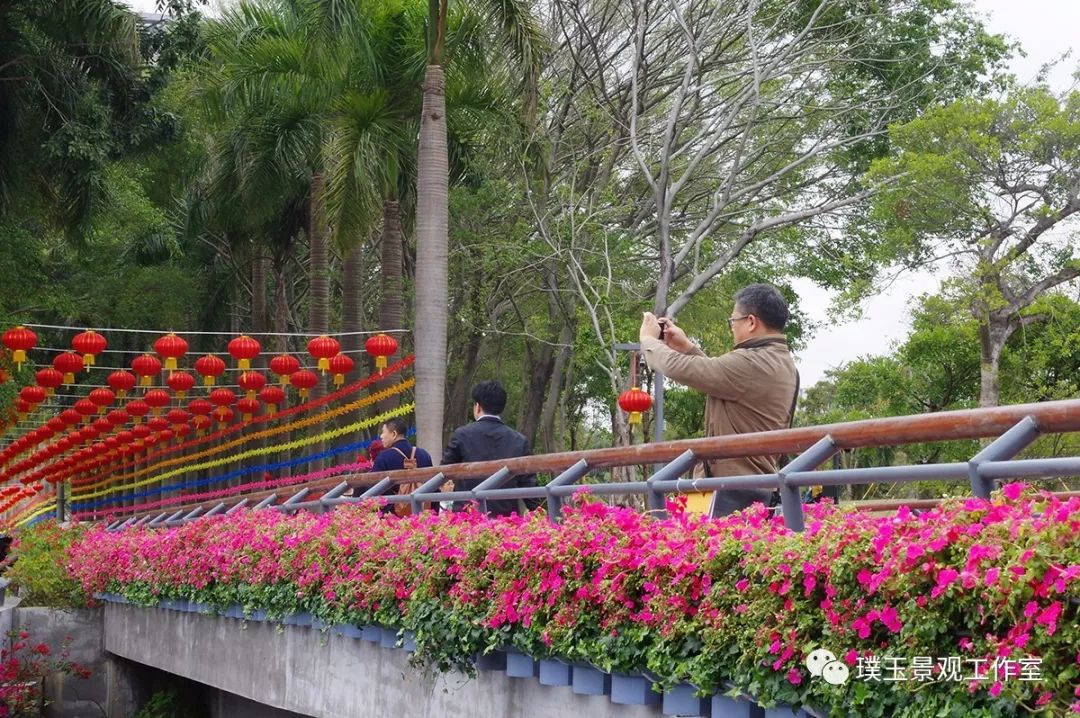 深圳香蜜公园航拍视频,香蜜湖香蜜公园