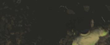 2021韩国票房第一名电影,2022韩国电影票房排名前十