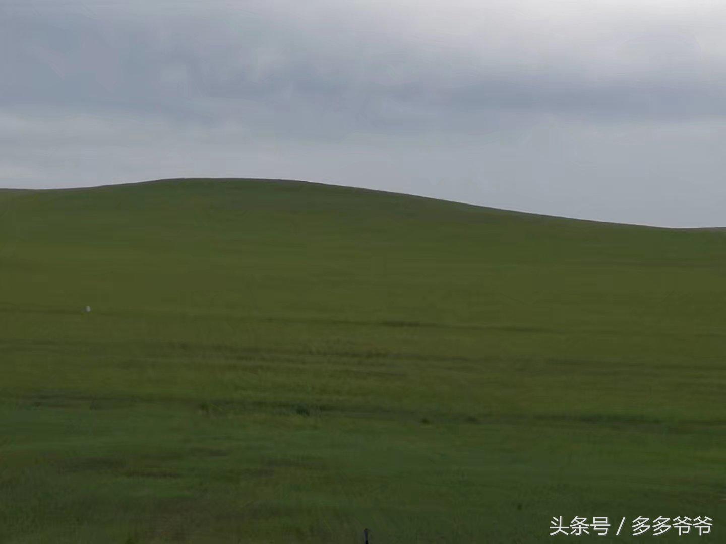 锡林郭勒盟边境自驾穿越,锡林郭勒大草原中蒙边境游