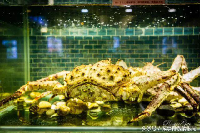 这是我见过最详细的旅游攻略,澳门必须去的旅游景点推荐