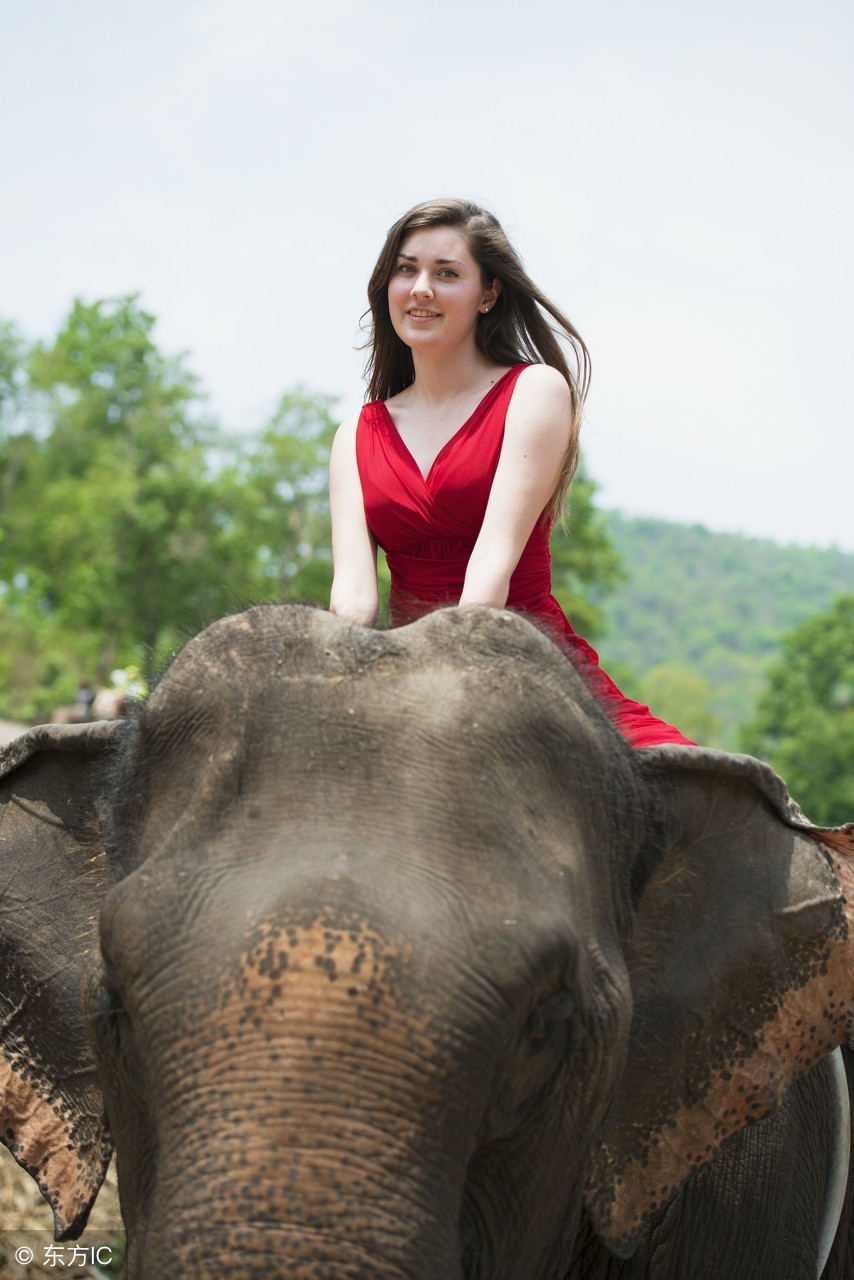 切记：千万别把Whiteelephant理解成白色大象
