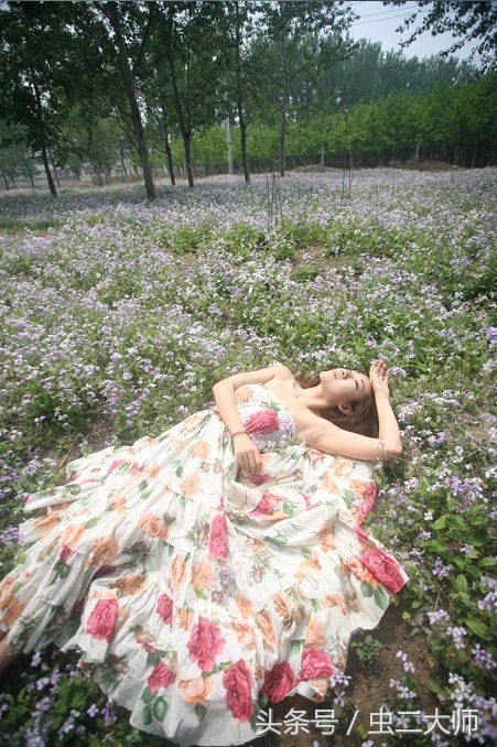 蝴蝶不会飞dj,蝴蝶不会飞了还能活吗