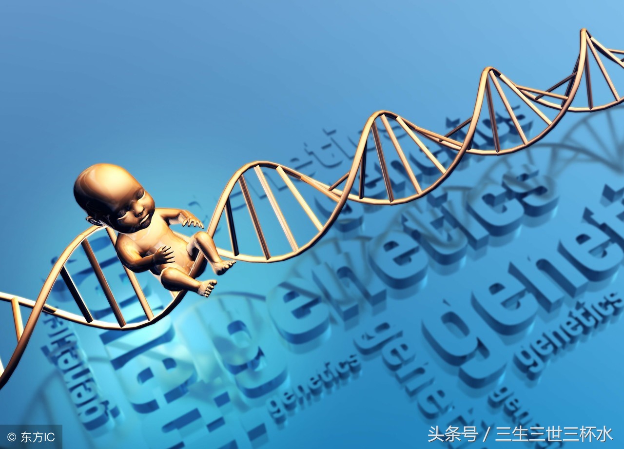 唐筛18临界风险有必要做无创dna吗,孕妈妈唐筛结果正常