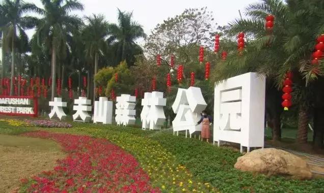 还没看的景点,大夫山最美景色