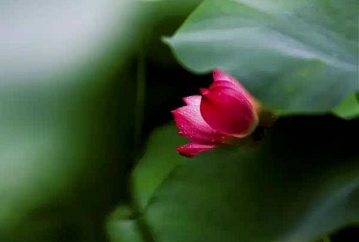 对付背后黑你小人的三个经典方法，学会了受益终生