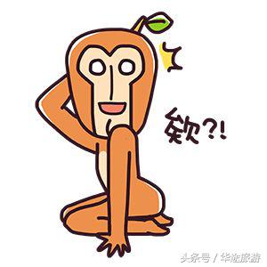 怎么从护照上知道你去哪个国家,你的护照上都有哪些国家的签证