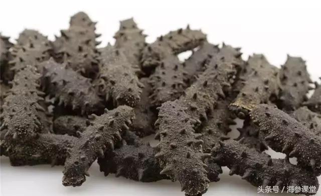 海参产地哪里最好吃,海参产地大揭秘哪里海参最好