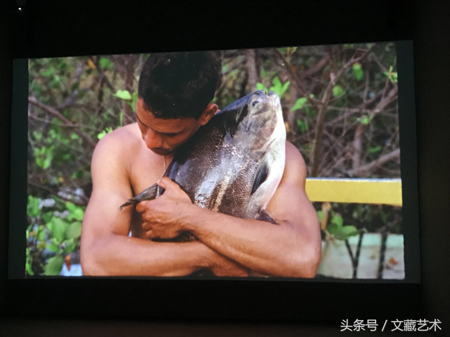 瓒崇悆鎷煎敖鍏ㄥ姏鍗村張鏃犺兘涓哄姏,瓒崇悆鎷煎敖鍏ㄥ姏鐩村埌鏃犺兘涓哄姏