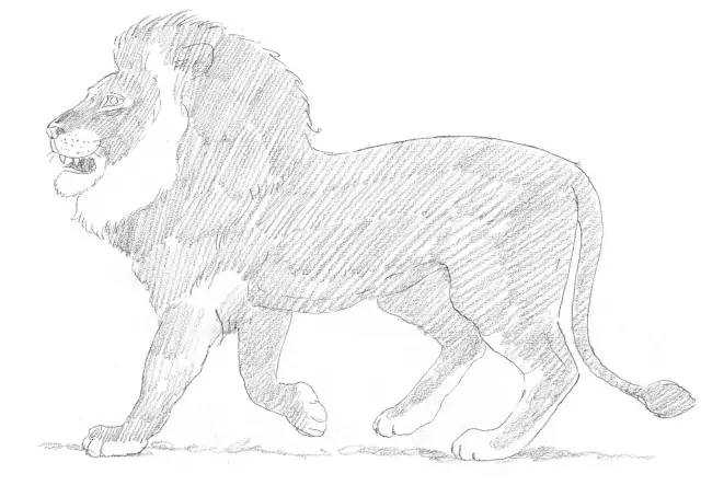 素描入门零基础教程动漫人物,素描入门零基础教程排线握笔