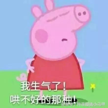 十大没必要买的东西,不能买的十大物件