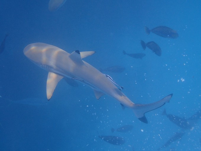 蜜月短途旅行,蜜月旅行遇见朋友闺蜜