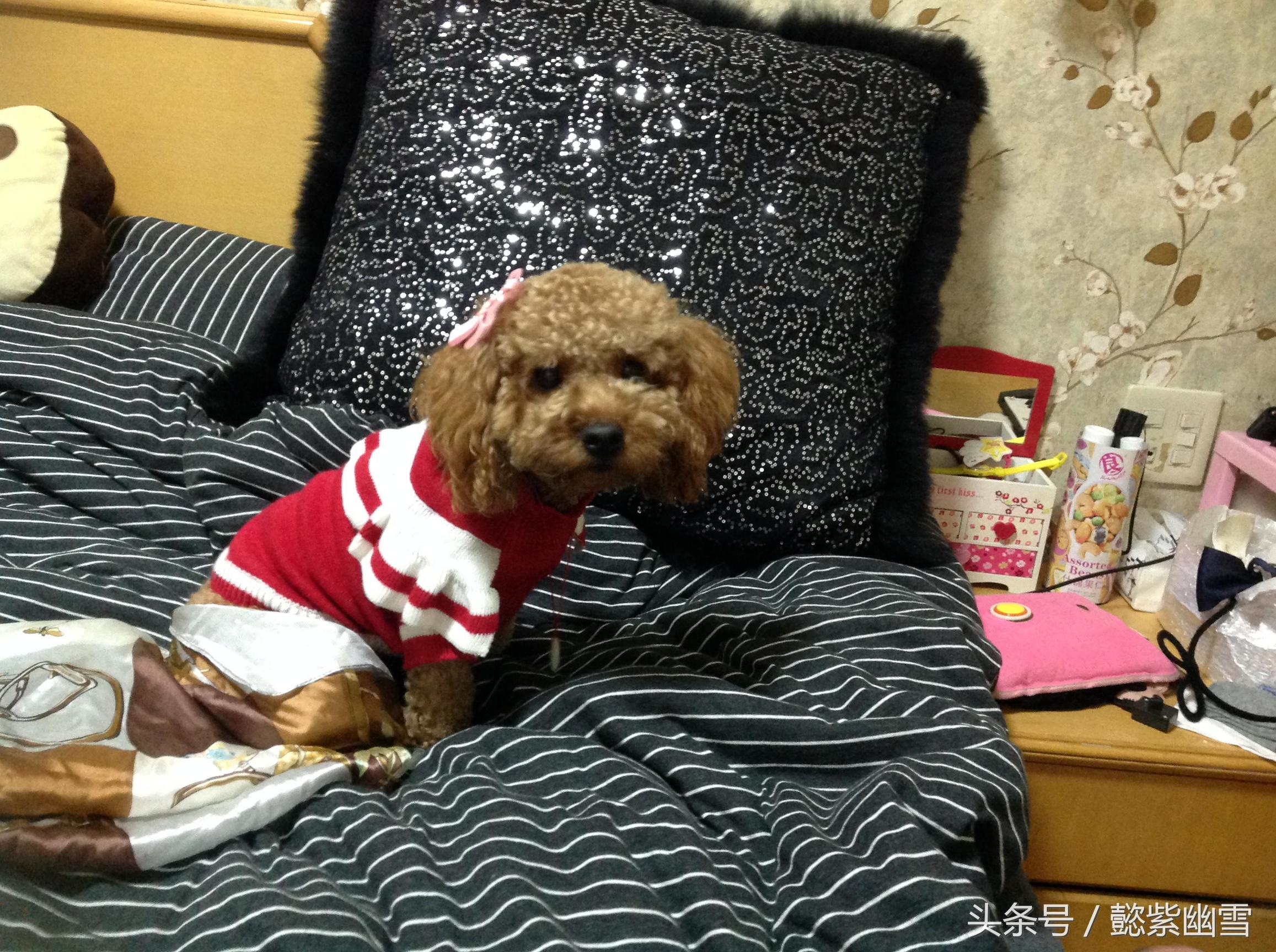 我的巧克力在哪里用英语怎么说,我的巧克力原版