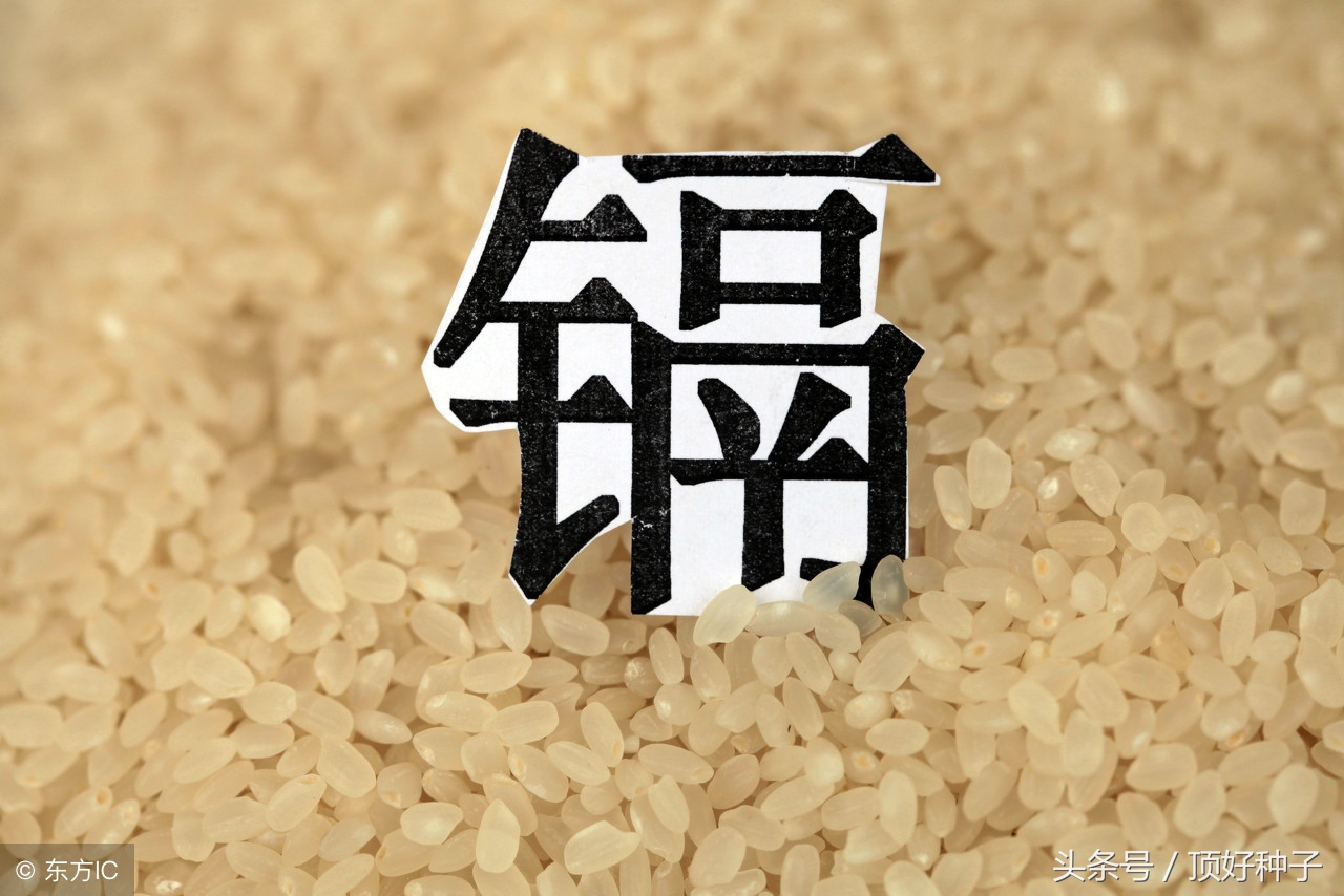 低镉水稻品种有什么缺陷,镉大米是怎么产生的