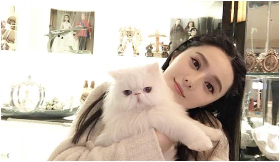 范冰冰天猫潮流盛典,范冰冰开创美妆品牌