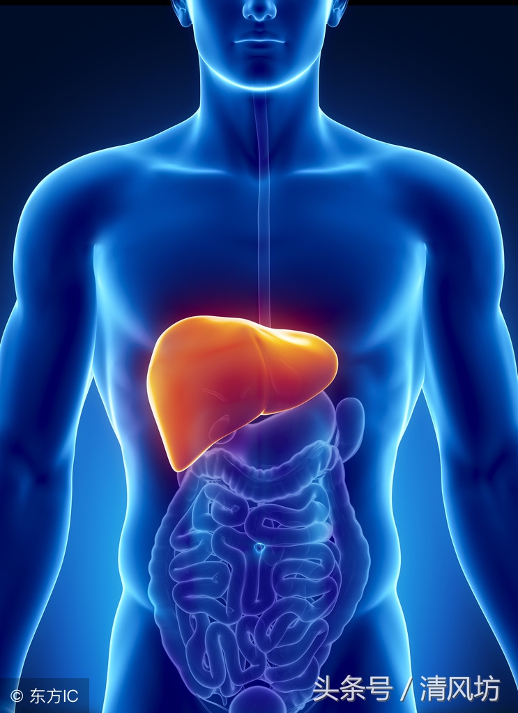 人体衰老是从什么时候开始的,人体衰老的十个步骤详细图解