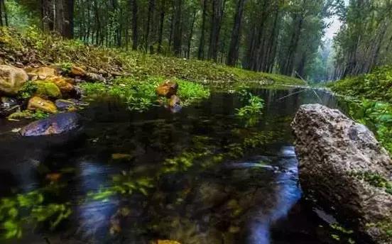 北京这38个森林公园您都去吗？先收藏了，有空咱们玩个遍！