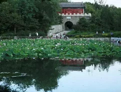 北京各区16处免费森林公园,北京最新40个公园