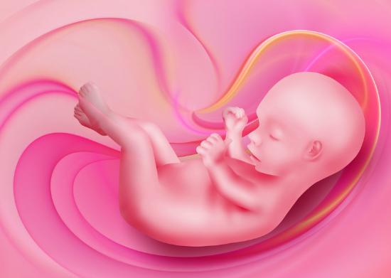 揭秘胎儿性别形成过程，原来跟想象的并不一样！