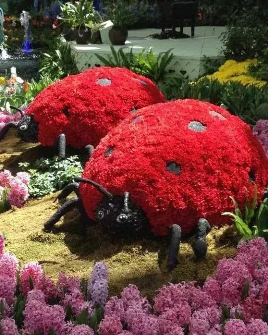 11月4,有群的都看看,太美了,这一辈子见一次值了!